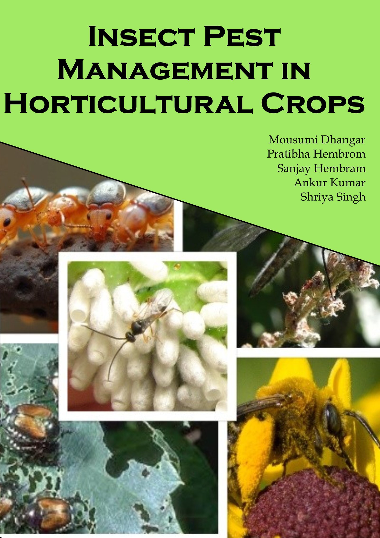 Insect Pest Management  in Horticultural Crops