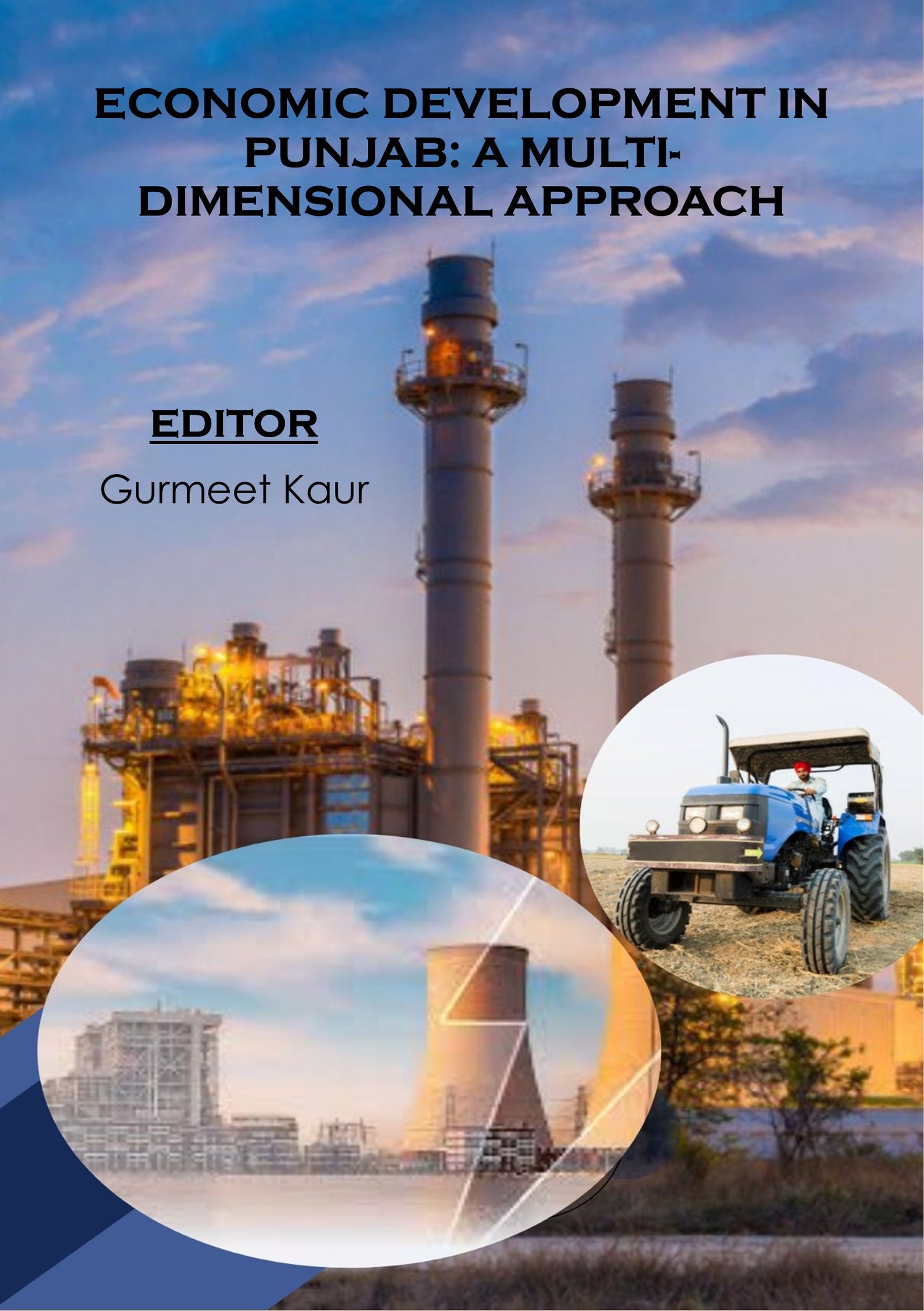 ECONOMIC DEVELOPMENT IN  PUNJAB: A MULTI DIMENSIONAL APPROACH  